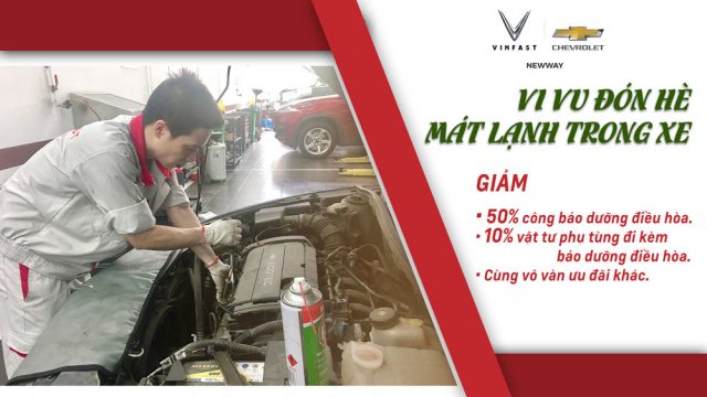 Vi vu đón hè – Mát lạnh trong xe